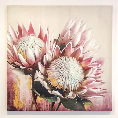 Casa De Sao Tiago 1 * Funchal